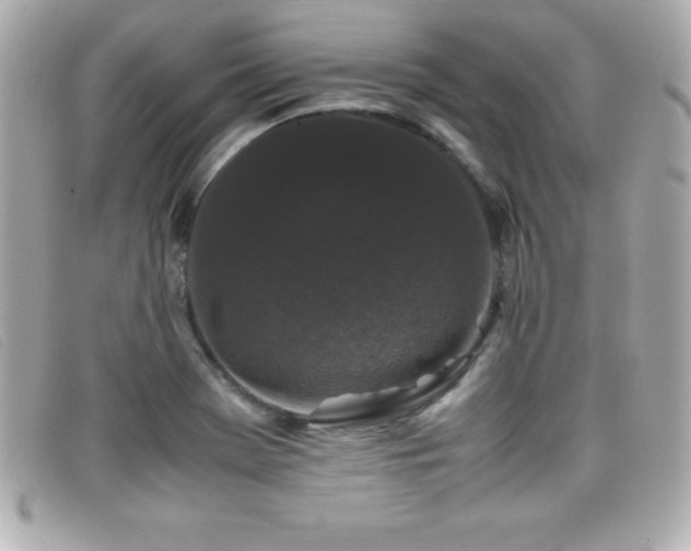 X0000099471369200805091538
