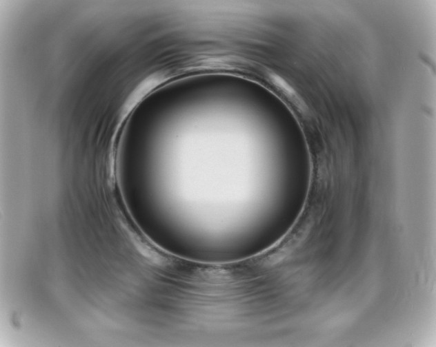 X0000099471370200805091538