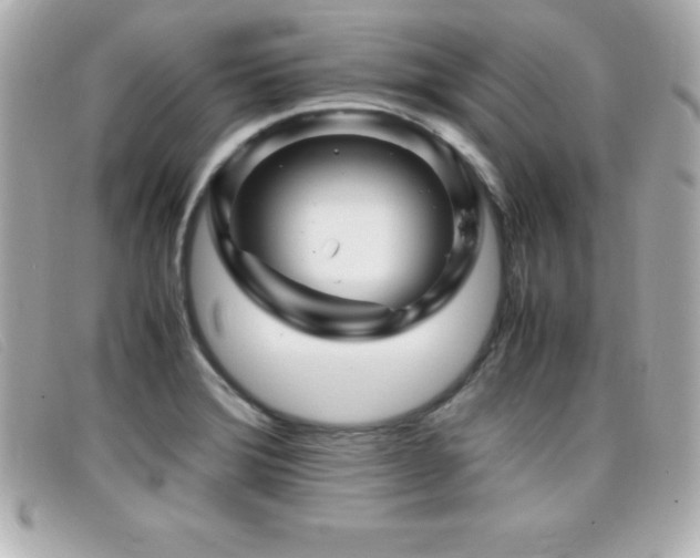 X0000099471372200805091538