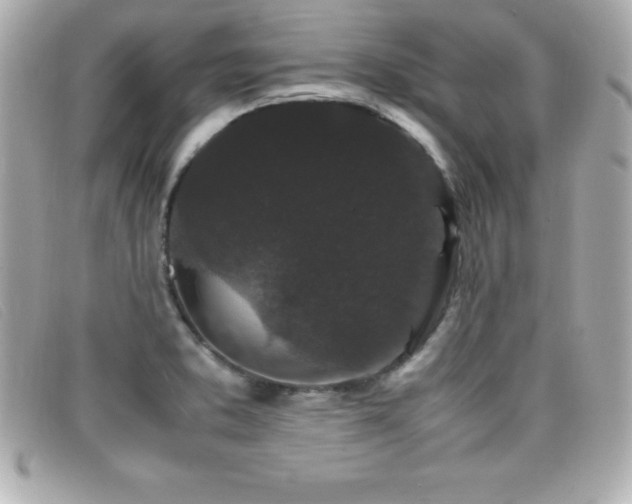 X0000099471373200805091538