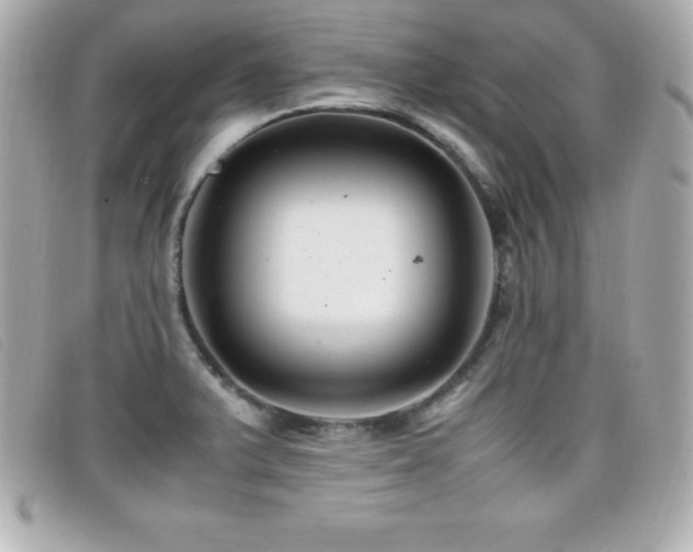 X0000099471375200805091538