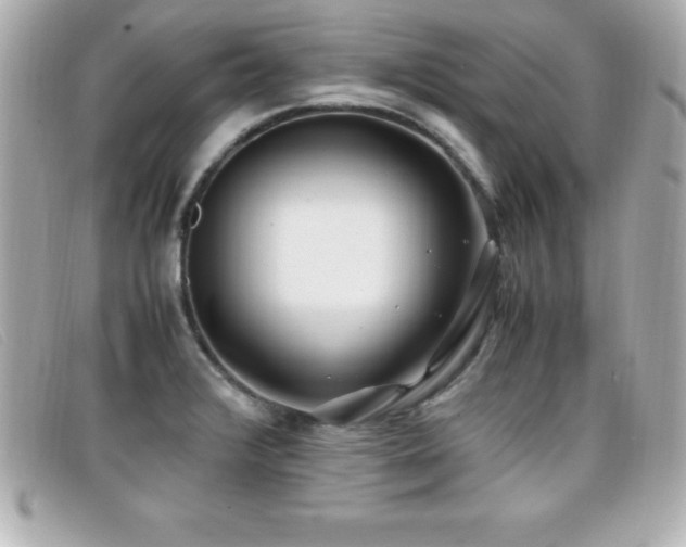 X0000099471376200805091538