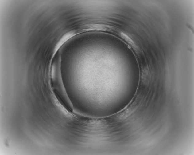 X0000099471378200805091538
