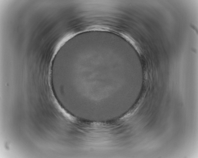 X0000099471379200805091538