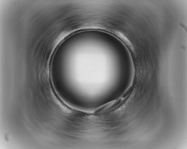 X0000099471380200805091538