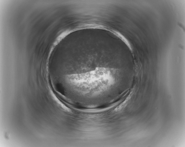 X0000099471381200805091538