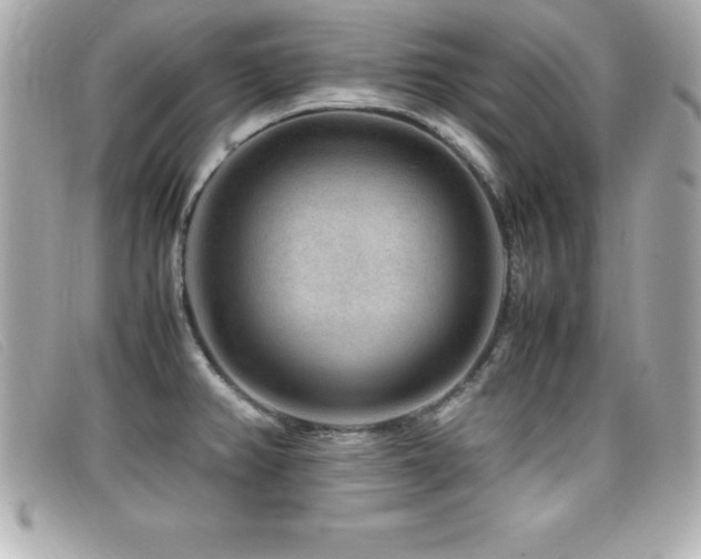 X0000099471382200805091538