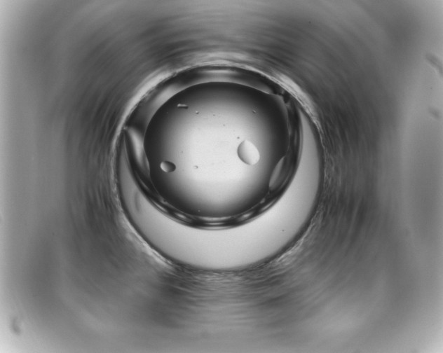 X0000099471384200805091538