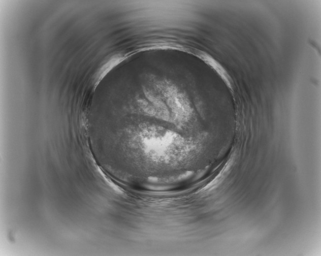 X0000099471385200805091538