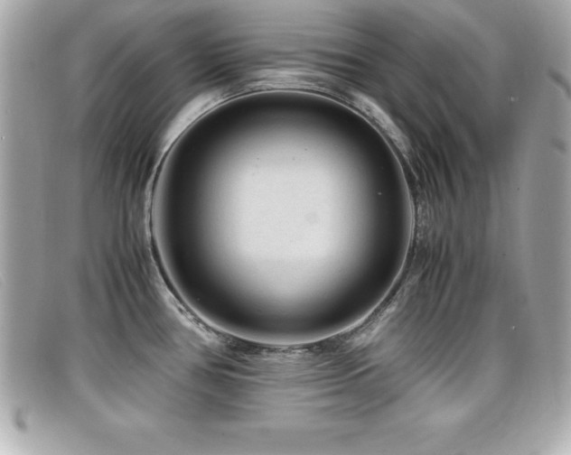 X0000099471386200805091538