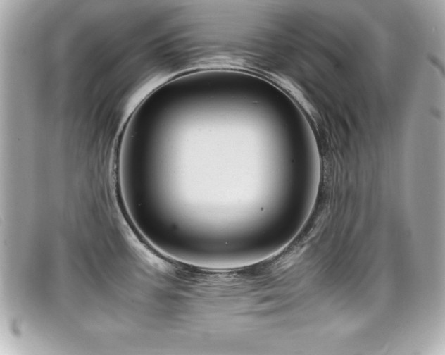X0000099471387200805091538