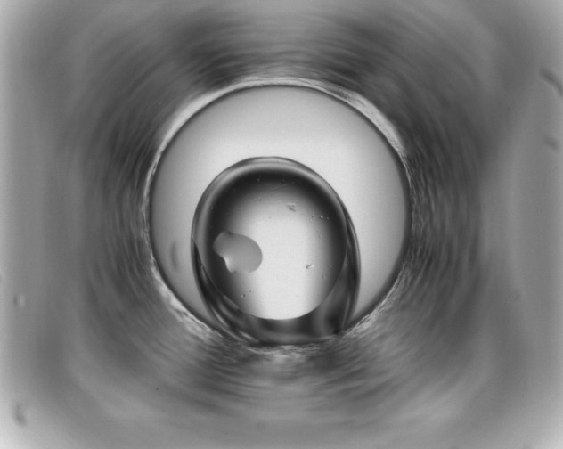 X0000099471388200805091538
