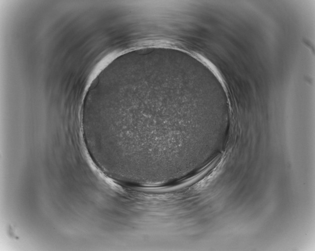 X0000099471389200805091538