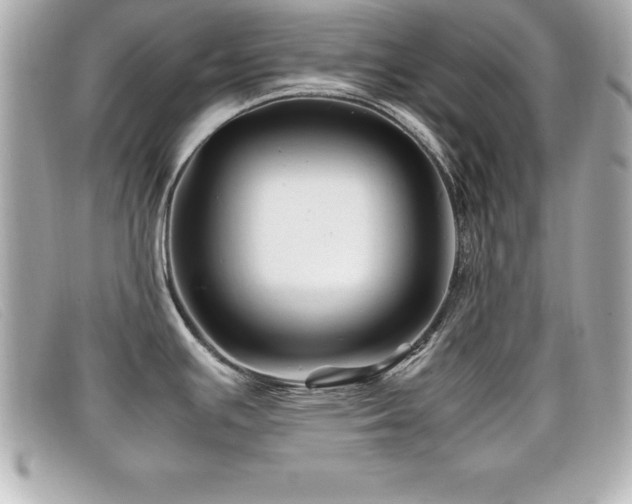 X0000099471391200805091538