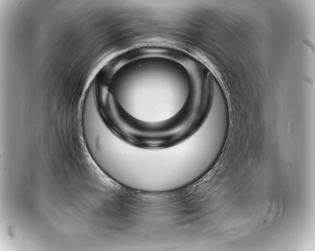 X0000099471392200805091538