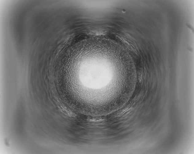 X0000099471393200805091537