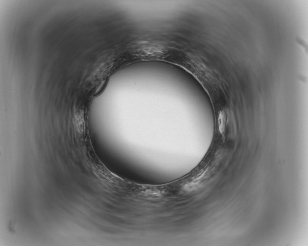 X0000099471395200805091537