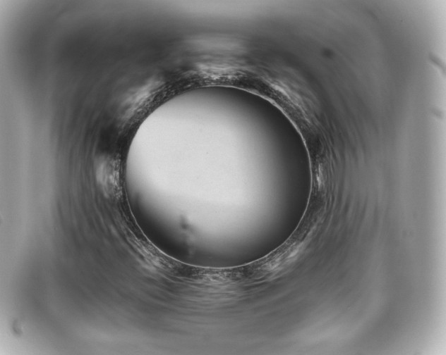 X0000099471396200805091537