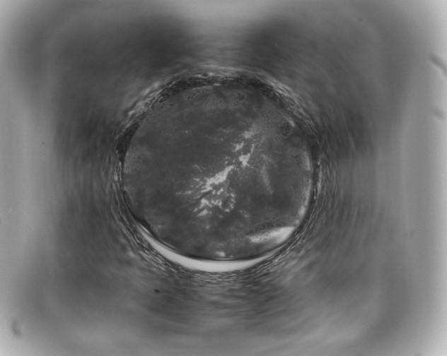 X0000099471397200805091537