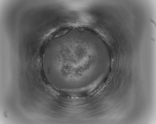 X0000099471398200805091537