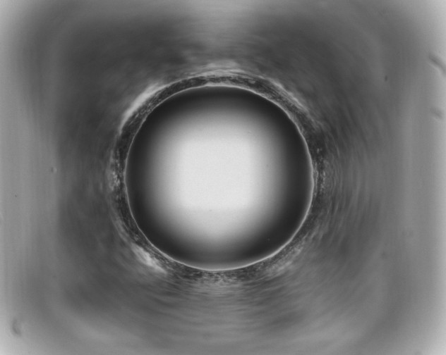 X0000099471400200805091537