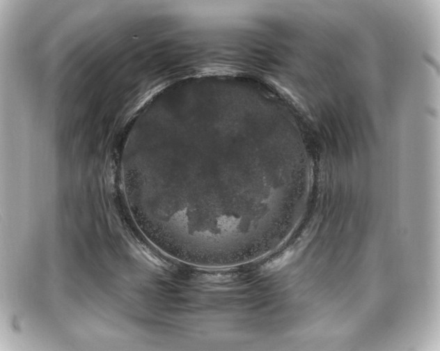 X0000099471401200805091537