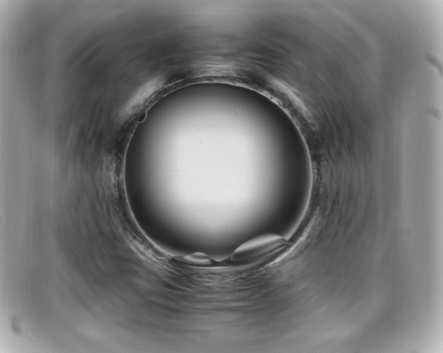 X0000099471403200805091537