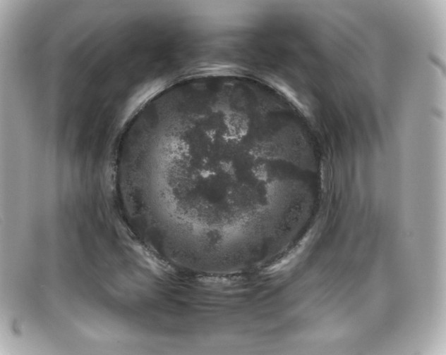 X0000099471405200805091537