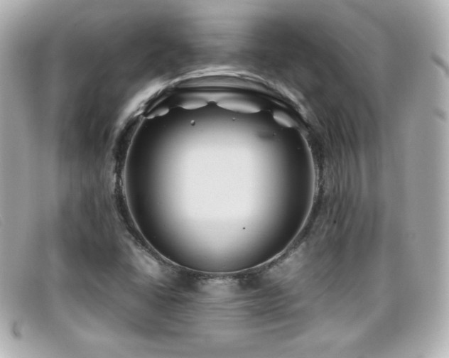X0000099471406200805091537