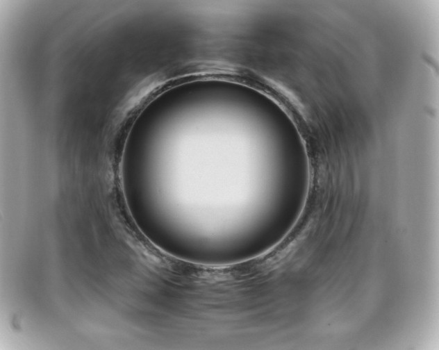 X0000099471407200805091537