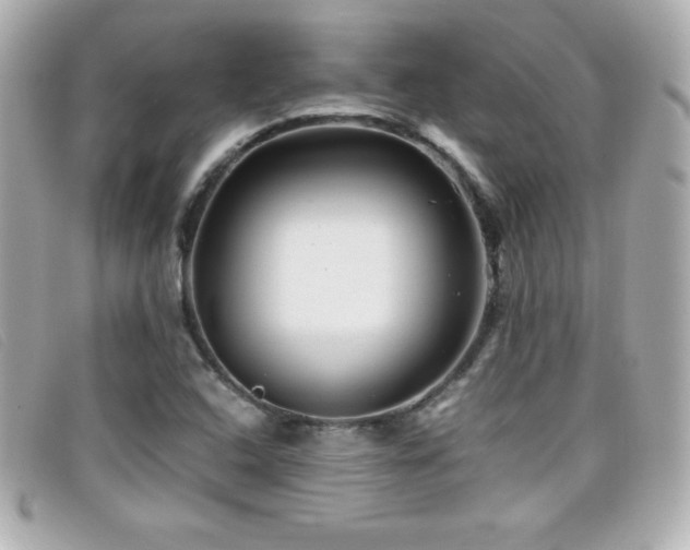 X0000099471408200805091537