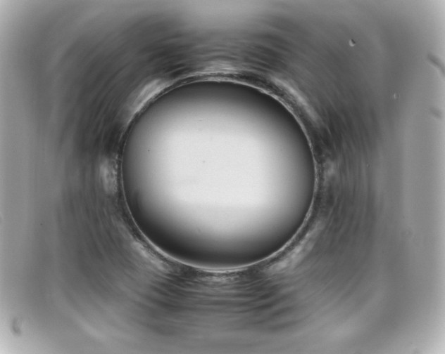 X0000099471409200805091537