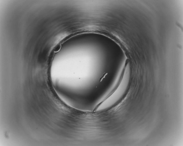 X0000099471410200805091537