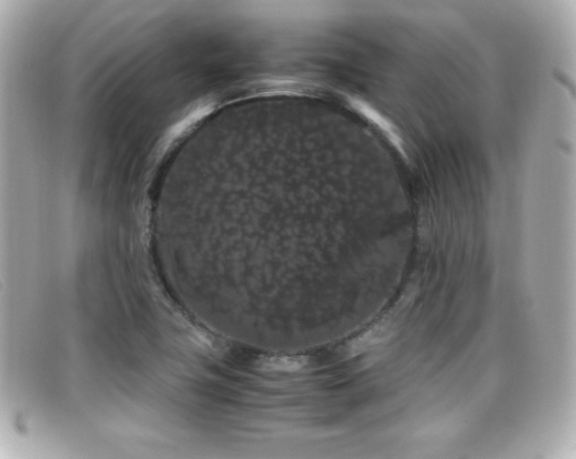 X0000099471411200805091537