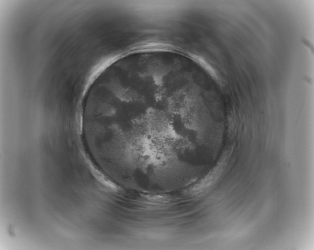 X0000099471413200805091537