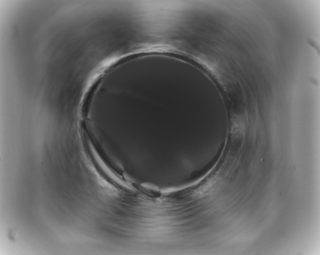 X0000099471414200805091537