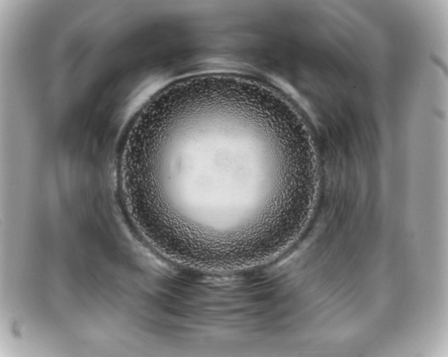 X0000099471415200805091537