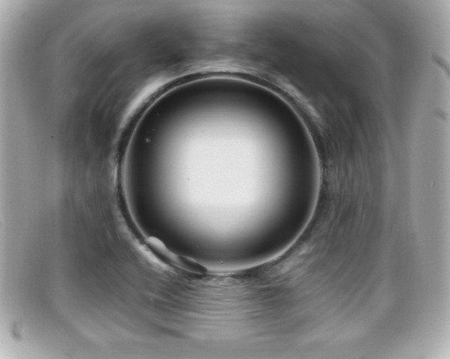 X0000099471416200805091537