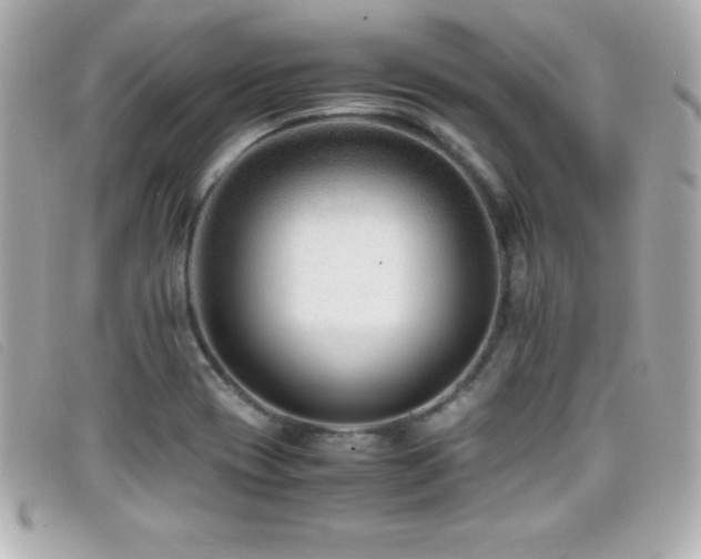 X0000099471417200805091537
