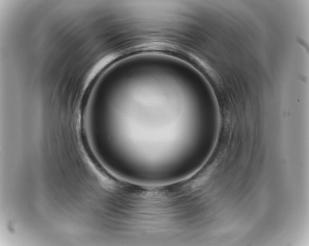 X0000099471418200805091537