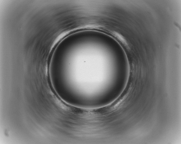 X0000099471420200805091537