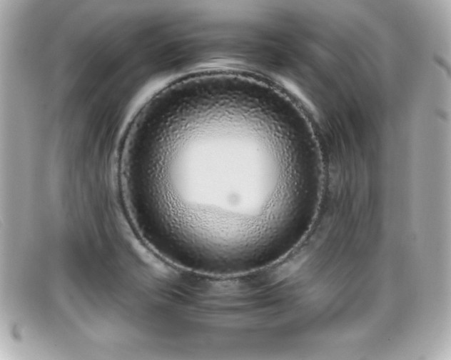 X0000099471421200805091537