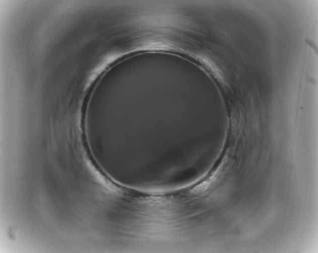 X0000099471422200805091537