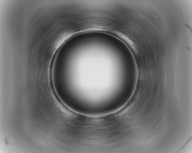 X0000099471423200805091538
