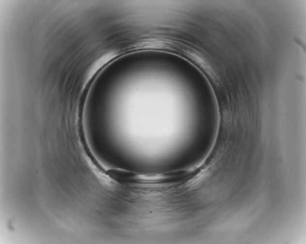 X0000099471426200805091538