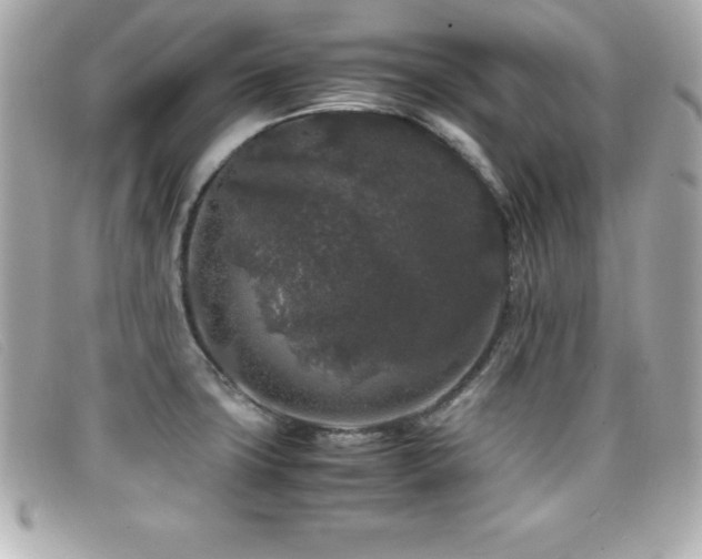 X0000099471427200805091538