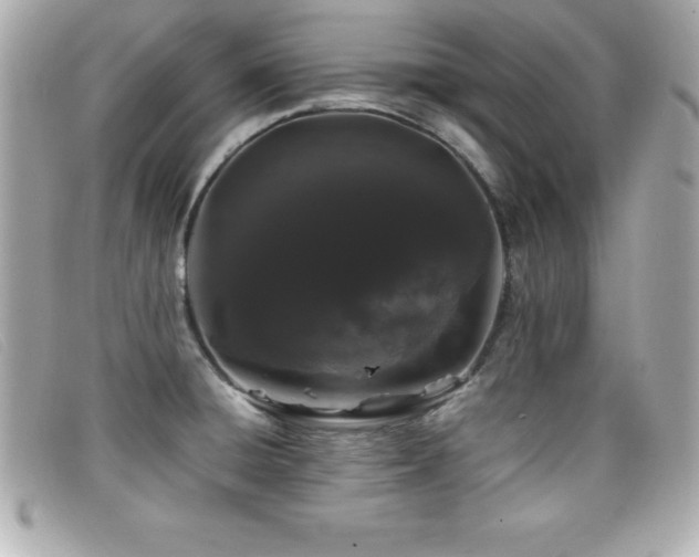 X0000099471428200805091538