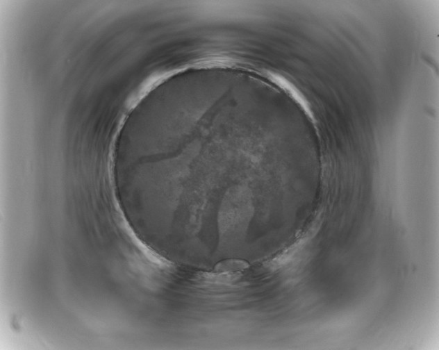 X0000099471429200805091538
