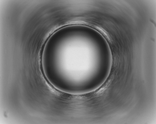 X0000099471430200805091538