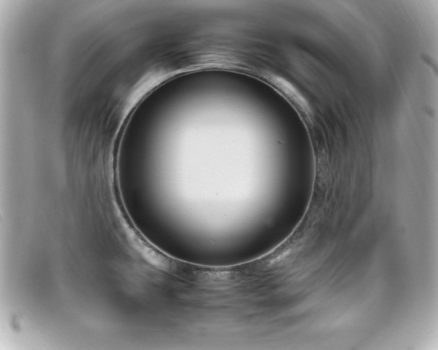 X0000099471431200805091538